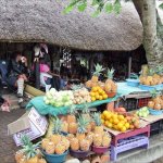 ZA_AL_St. LUCIA1